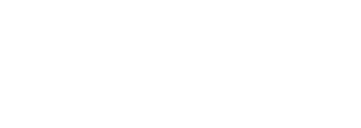 The Memory of Journeys: Part 2 Dazzling Forests