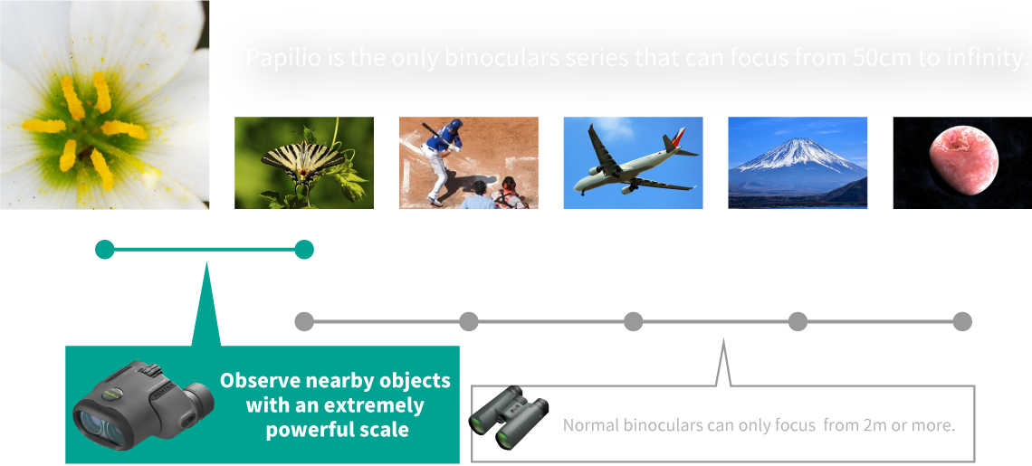 Normal binoculars can only focus from 2m or more.