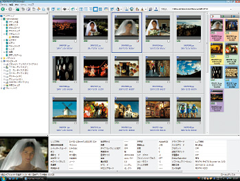 Multi-function image browser software facilitates the filing of images and photographic data