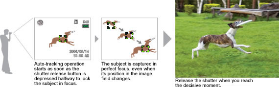 Auto-Tracking AF. Constant Focus and Timely Shutter Release Assured for Active Subjects
