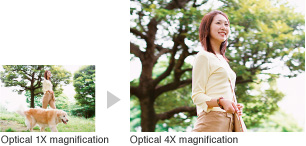 Sample images: Optical 1X magnification and Optical 4X magnification