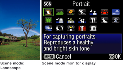 Scene mode: Landscape Scene mode monitor display