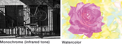 Monochrome (infrared tone) Watercolor