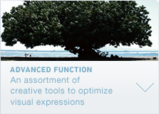 ADVANCED FUNCTION An assortment of creative tools to optimize visual expressions