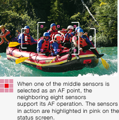 When one of the middle sensors is selected as an AF point, the neighboring eight sensors support its AF operation. The sensors in action are highlighted in pink on the status screen.