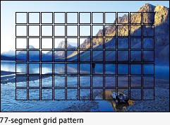 77-segment grid pattern