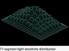 77-segment light sensitivity distribution