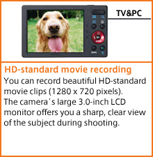 HD-standard movie recording