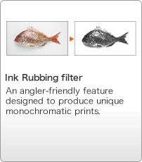 Ink Rubbing filter