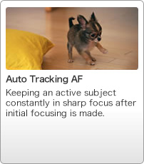 Auto Tracking AF
