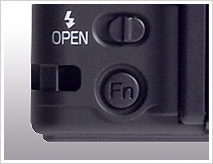 Function button (Fn)