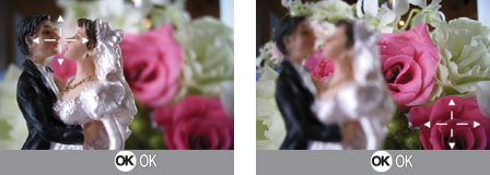 Expand your creativity: 1cm macro photography with AF Target Selection produces beautiful blurring effects.
