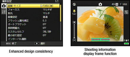 Enhanced design consistency/Shooting information display frame function