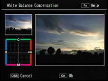Correction can be done by moving the position of the point on the white balance compensation map.