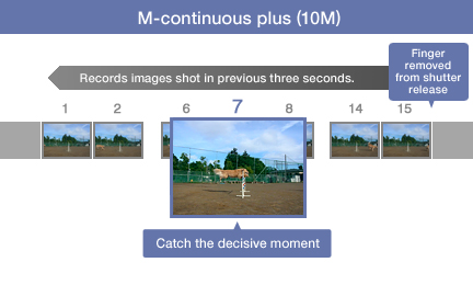 M-continuous plus (10M)