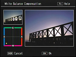 Correction can be done by moving the position of the point on the white balance compensation map. 