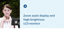 Zoom assist display and high-brightness LCD monitor