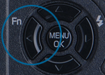Fn(Function) button