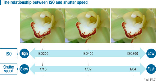 The relationship between ISO and shutter speed