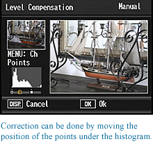 Correction can be done by moving the position of the points under the histogram.