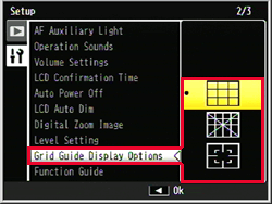 Example of Grid Gude Display Options