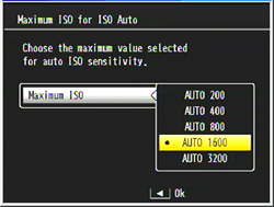 Maximum ISO for ISO Auto