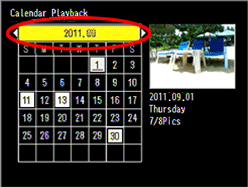 Calender view