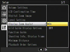 Display Zoom Assist option location