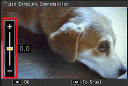 The flash exposure compensation bar.