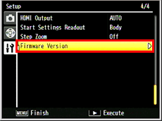 Firmware Version in the Setup menu