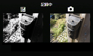 撮影後に表示されるハイコントラスト白黒と通常撮影画像の確認画面のイメージ