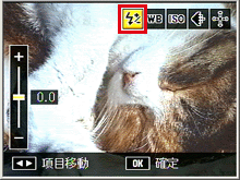 撮影画面に戻り、ADJ.レバーを押すと、ADJ.レバー設定 1 が「調光補正」に変更されます