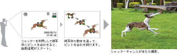 自動追尾AF:動く被写体にピントを合わせたまま、シャッターチャンスを逃さない。