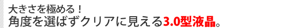 大きさを極める! 角度を選ばずクリアに見える3.0型液晶。
