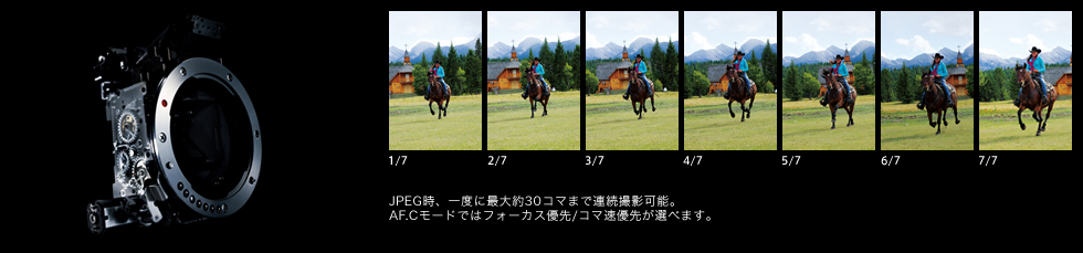 JPEG時、一度に最大約30コマまで連続撮影可能。AF.Cモードではフォーカス優先/コマ速優先が選べます。