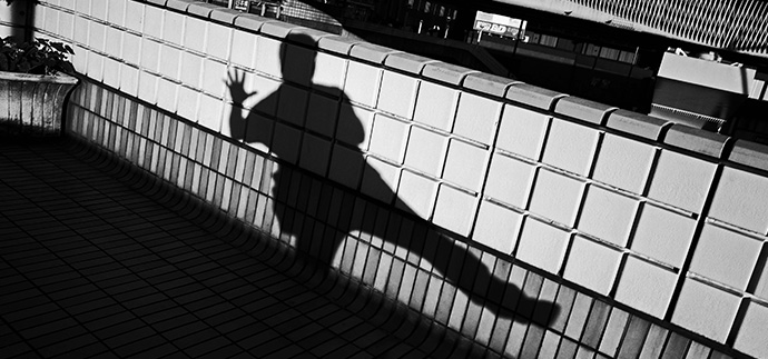 Vol.1 dummydummydummy