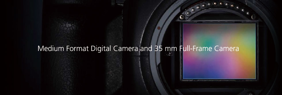 Medium Format Digital Camera and 35 mm Full-Frame Camera