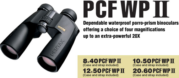 PCF WP II