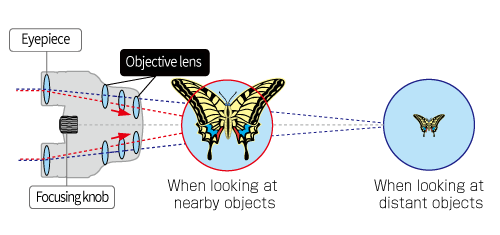 Mechanism of 'Macro observation'