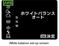 White balance set-up screen