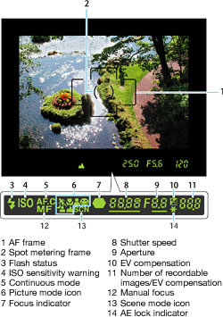 Easy-to-Identify Viewfinder Display