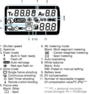 Large LCD Panel for Easy Data Reading