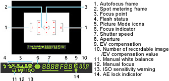 At-a-Glance Data Confirmation in the Viewfinder