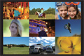 Nine-image display