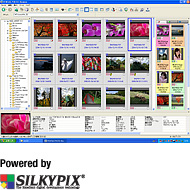 PENTAX PHOTO Browser3