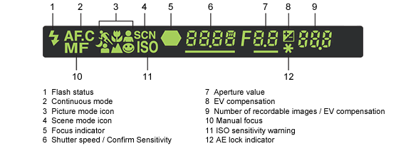 Viewfinder indicators