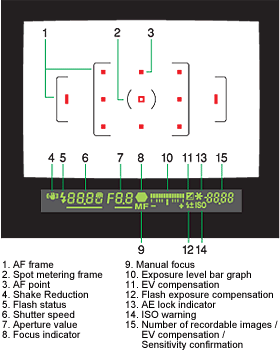 Viewfinder display for at-a-glance confirmation of photographic data