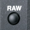 Simultaneous recording of RAW and JPEG images with pushbutton ease