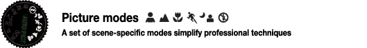 Picture modes: A set of scene-specific modes simplify professional techniques