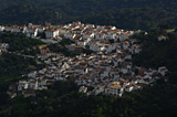 Photo-1